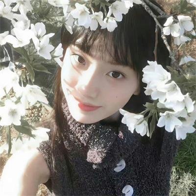 闪电狗
